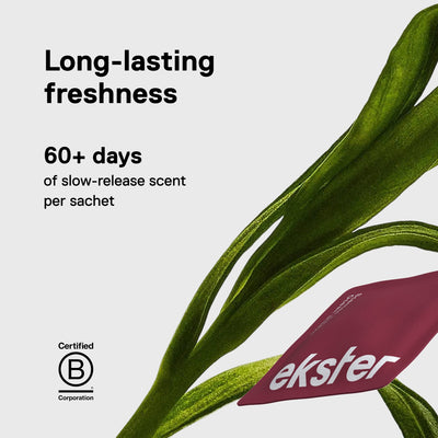 Fresh Essentials Bundle